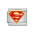 Superman Charm