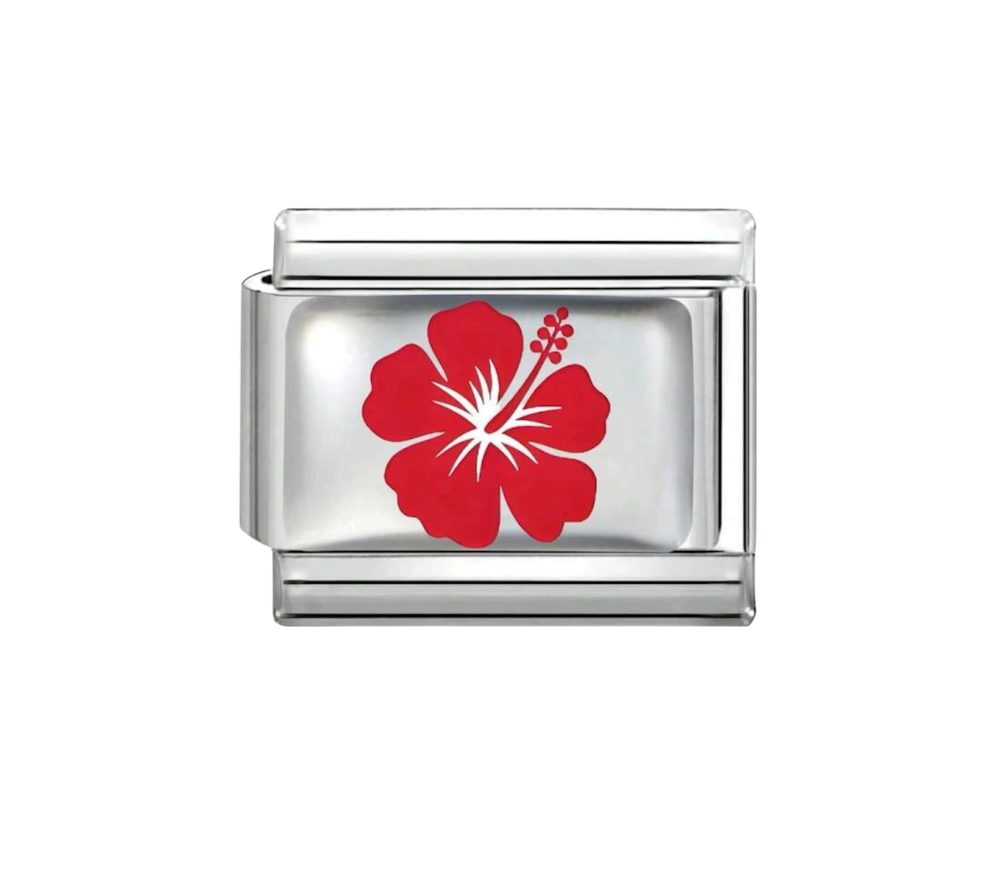Hibiscus charm