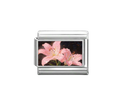 Lily charm
